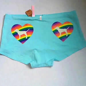 NWT Victoria's Secret PINK Pride Cheeky Panty XL